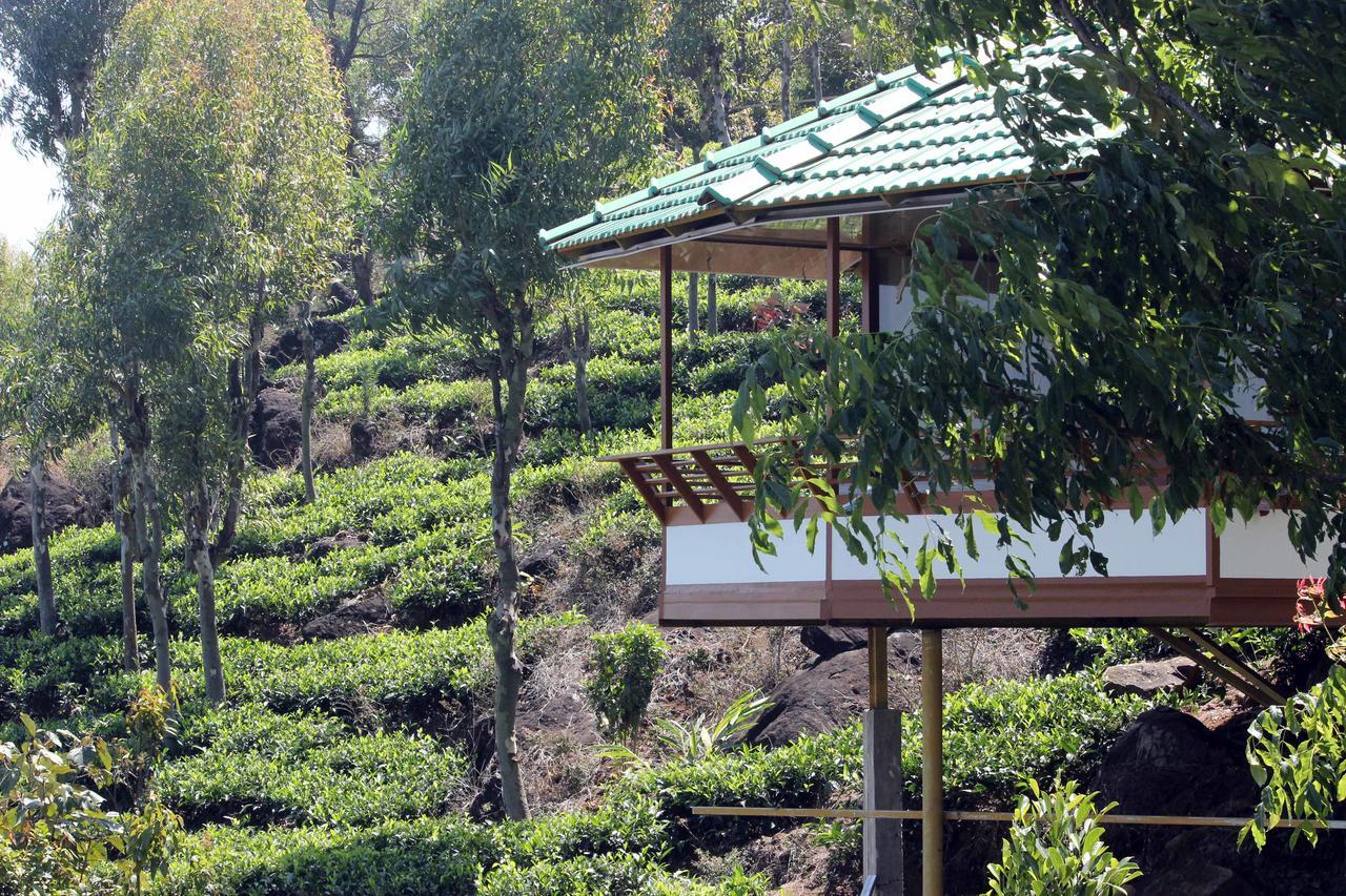 Vythiri Hills Hotell Exteriör bild
